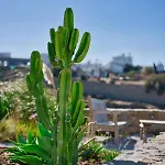 San Antonio Summerland 5*