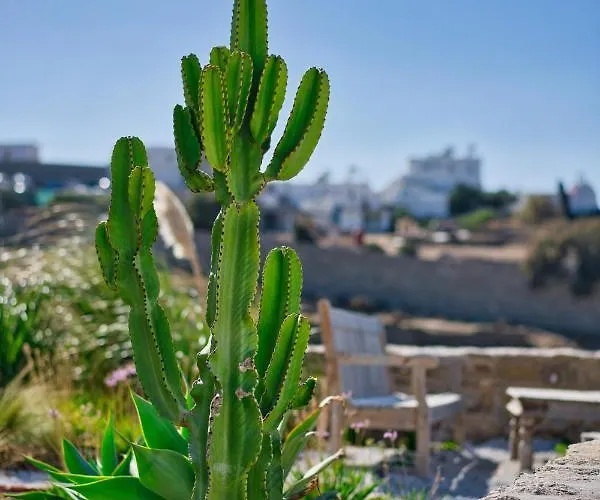 San Antonio Summerland 5*